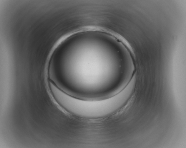 X0000113921381200909241521