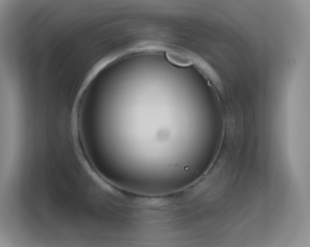 X0000113921382200909241521