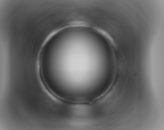 X0000113921383200909241521