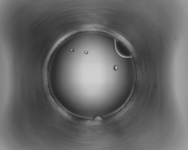 X0000113921384200909241521