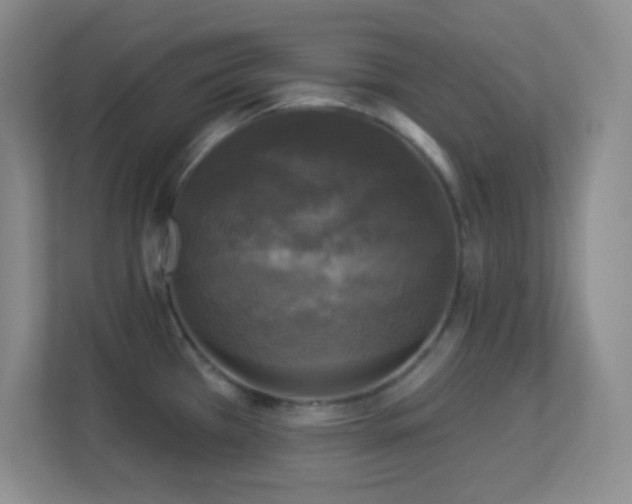 X0000113921385200909241521