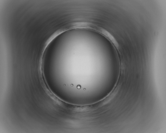 X0000113921386200909241521