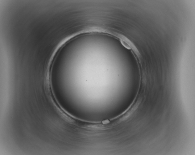 X0000113921388200909241521