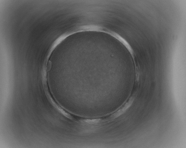 X0000113921389200909241521