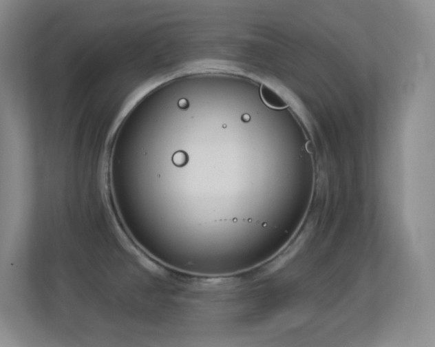 X0000113921390200909241521