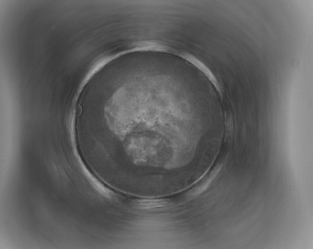 X0000113921391200909241521