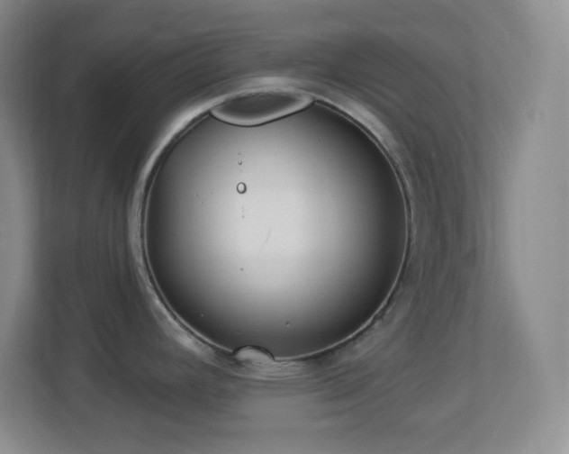 X0000113921392200909241521