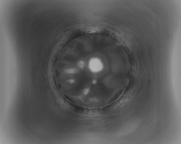 X0000113921393200909241520