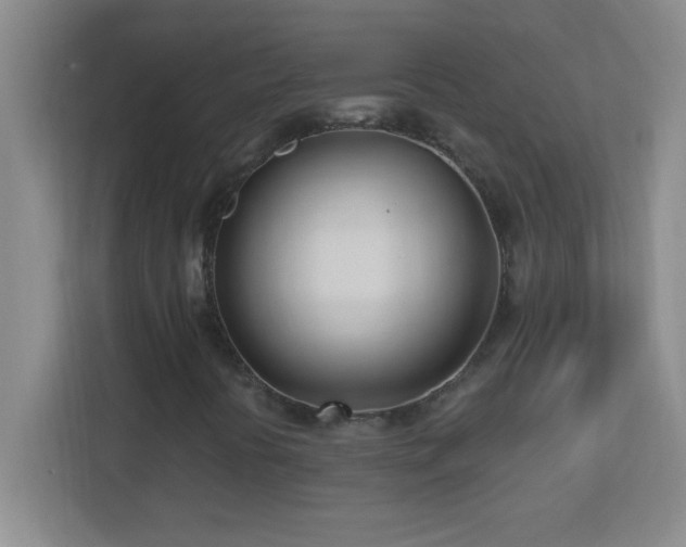 X0000113921394200909241520