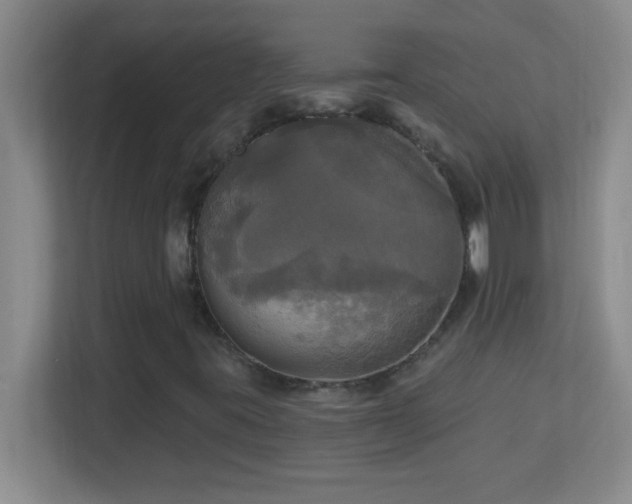 X0000113921395200909241520