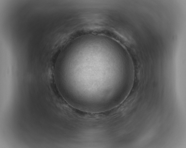 X0000113921397200909241520