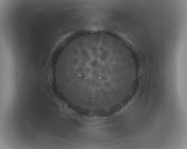 X0000113921398200909241520