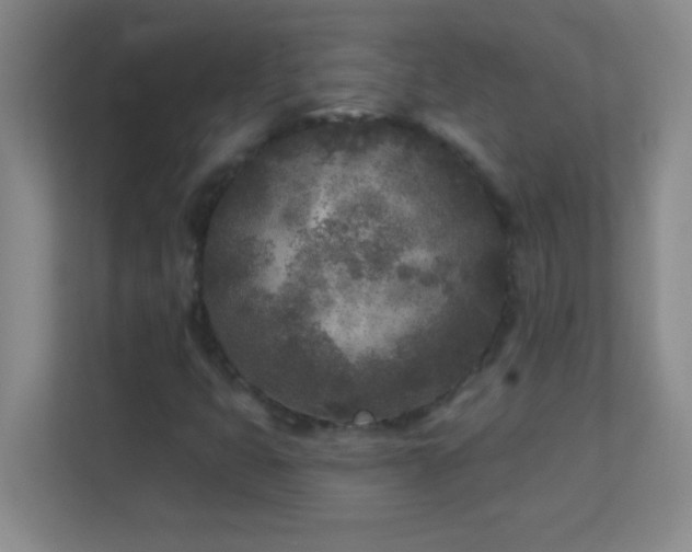 X0000113921399200909241520