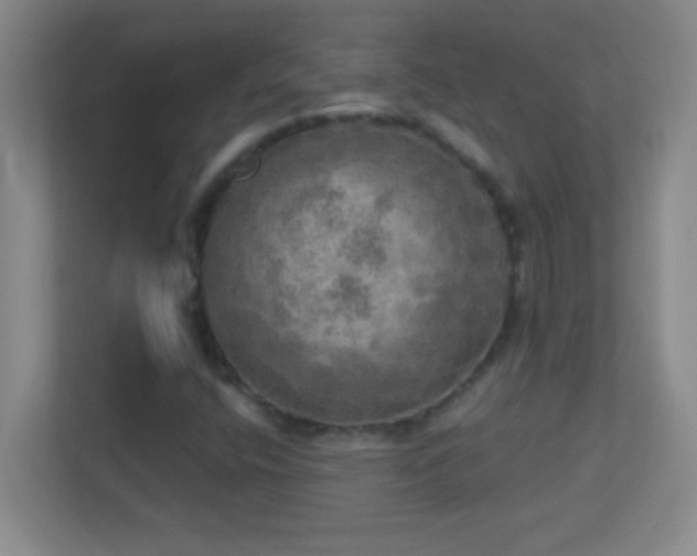 X0000113921400200909241520