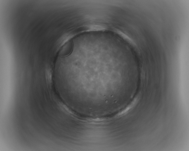 X0000113921401200909241520