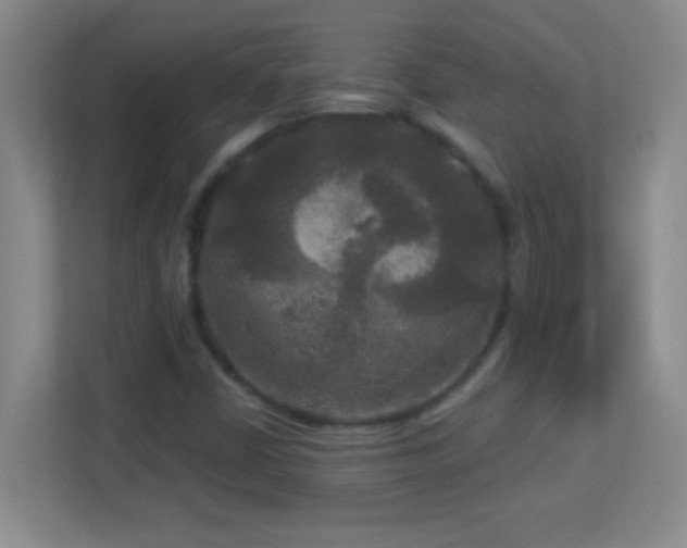 X0000113921402200909241520