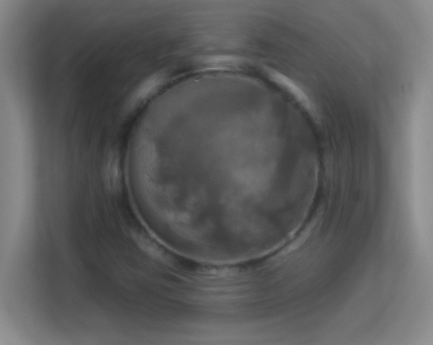 X0000113921403200909241520