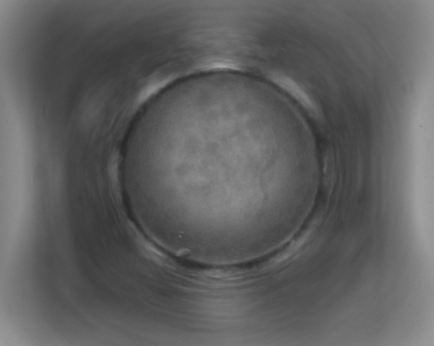 X0000113921404200909241520