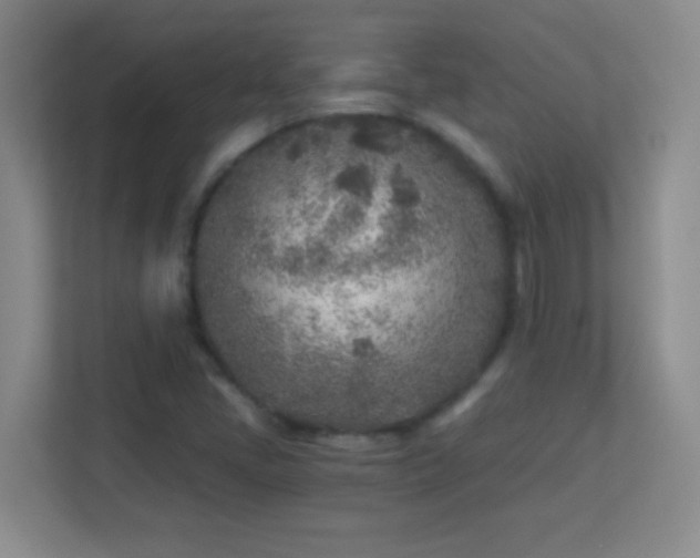 X0000113921405200909241520