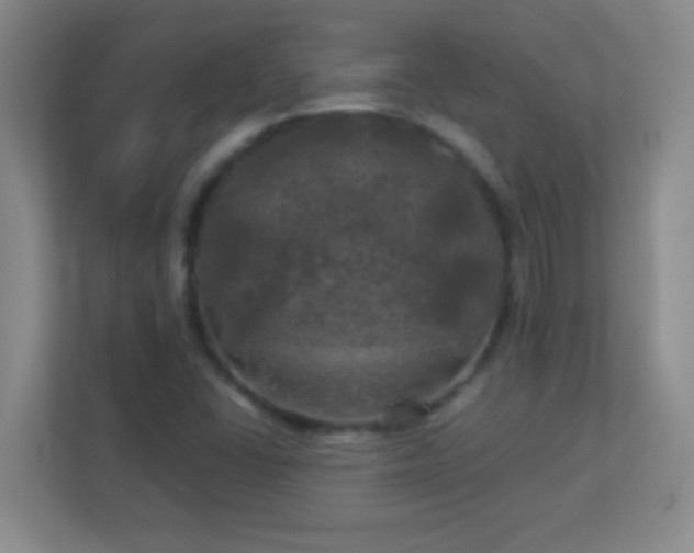 X0000113921406200909241520