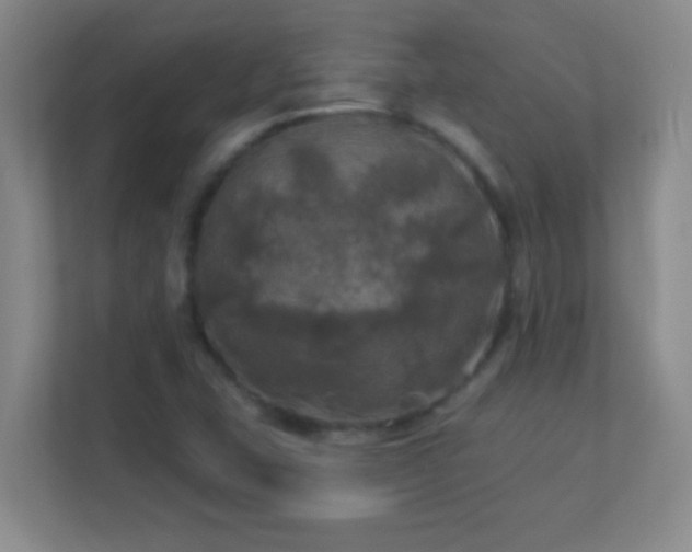 X0000113921407200909241520