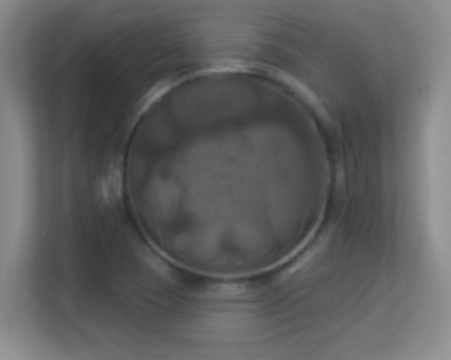 X0000113921409200909241520