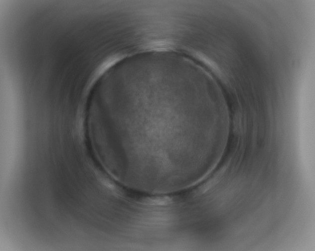 X0000113921410200909241520