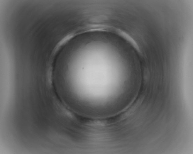 X0000113921411200909241520