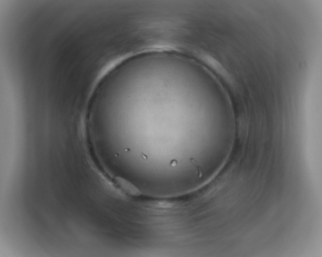 X0000113921412200909241520