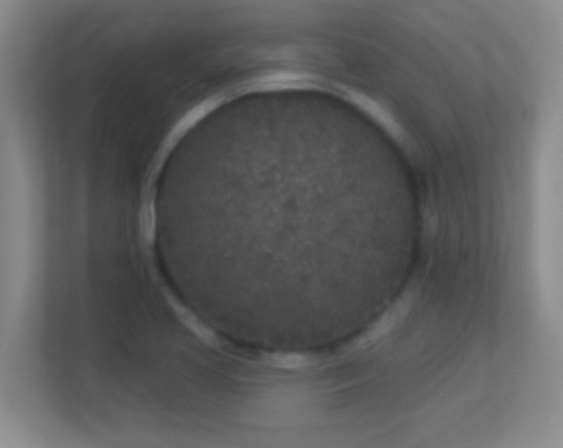 X0000113921413200909241520