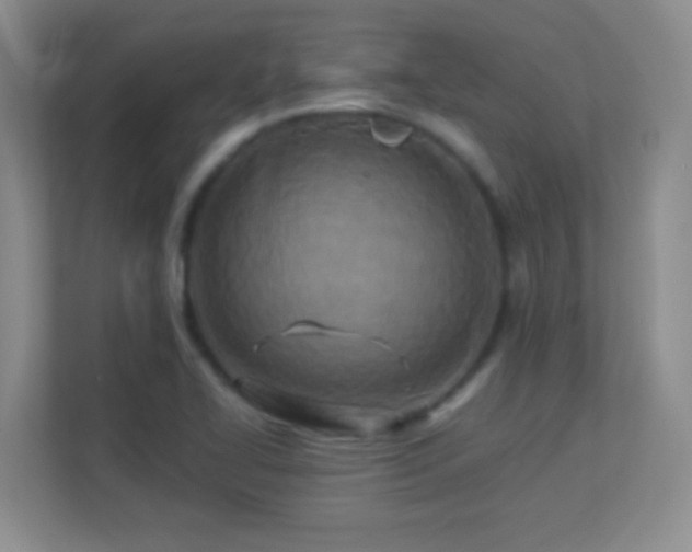 X0000113921414200909241520