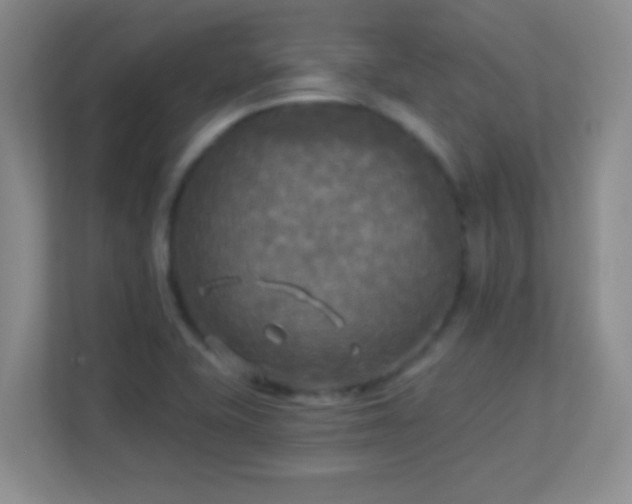 X0000113921415200909241520