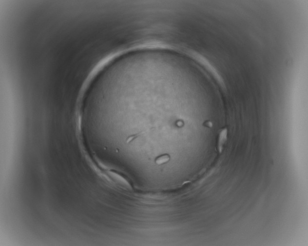 X0000113921416200909241520