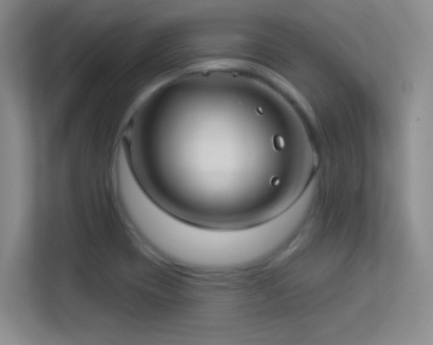 X0000113921417200909241520