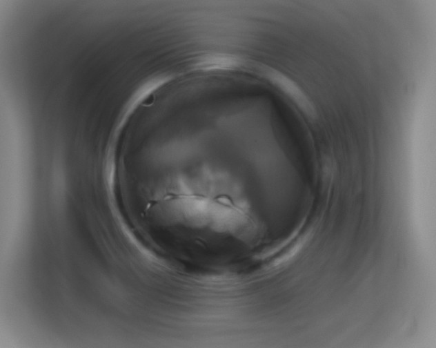 X0000113921418200909241520