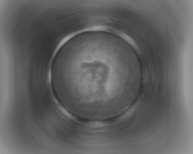 X0000113921420200909241520