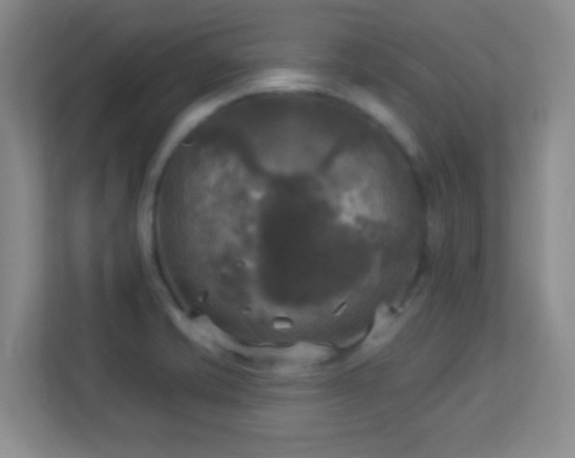 X0000113921421200909241520