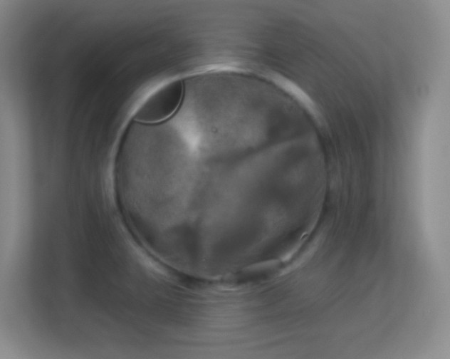 X0000113921423200909241520