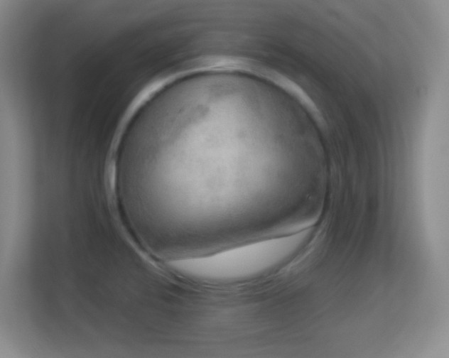 X0000113921424200909241520