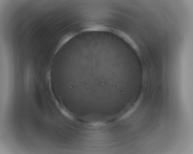 X0000113921425200909241520