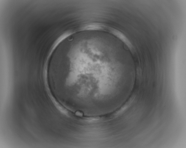 X0000113921426200909241520