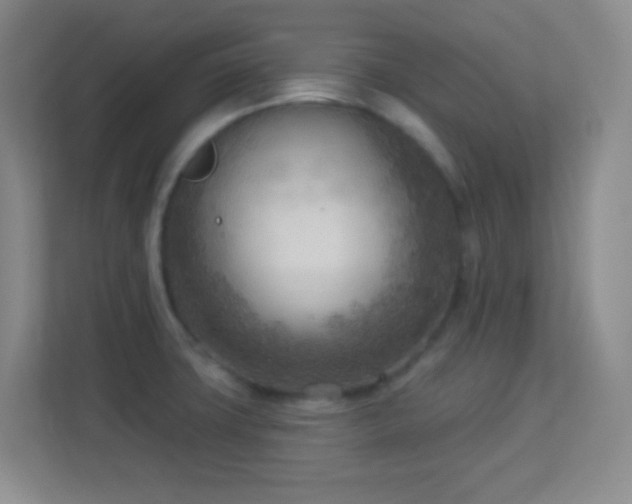 X0000113921427200909241520