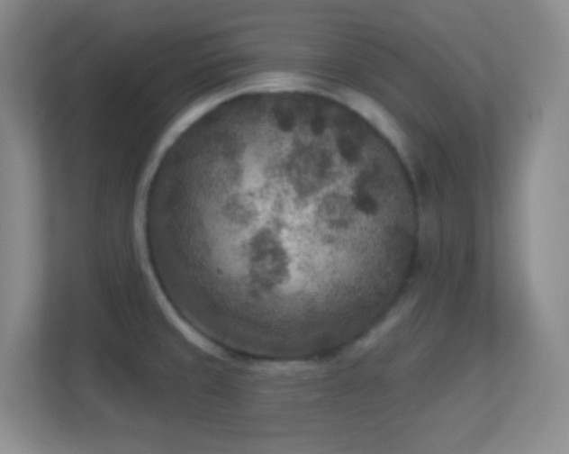 X0000113921429200909241520