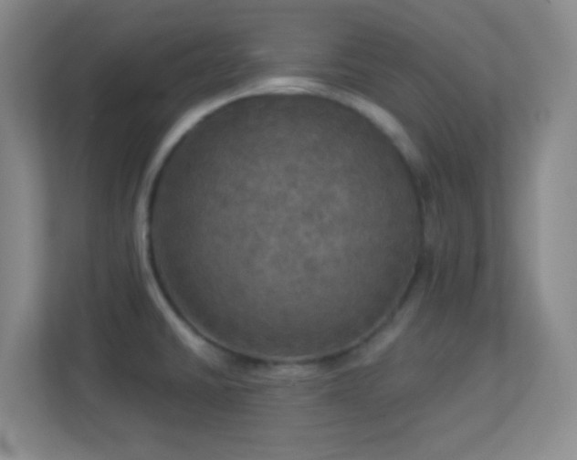 X0000113921430200909241520