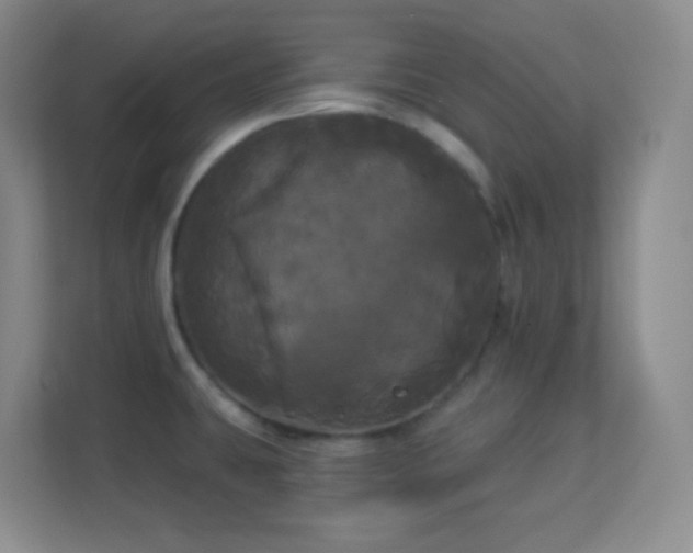 X0000113921431200909241520