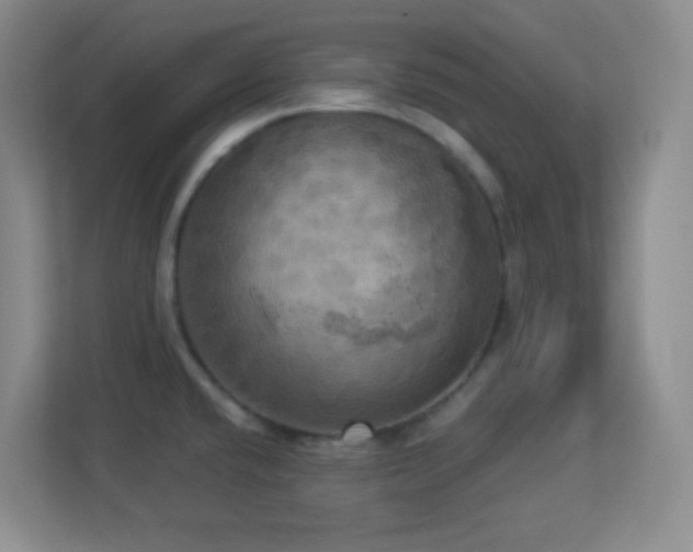 X0000113921432200909241520