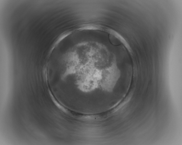 X0000113921433200909241521