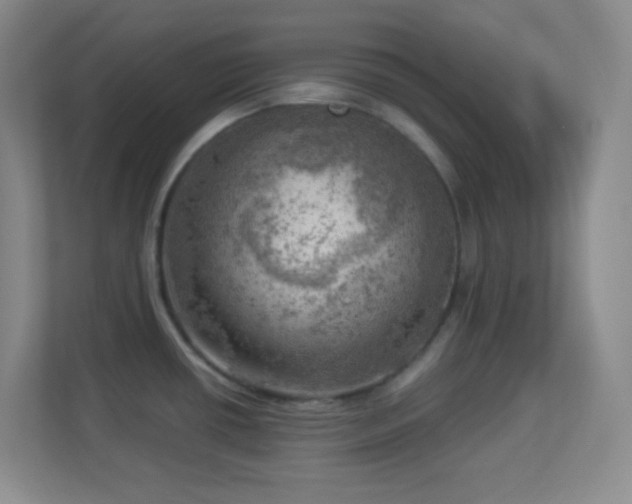 X0000113921434200909241521