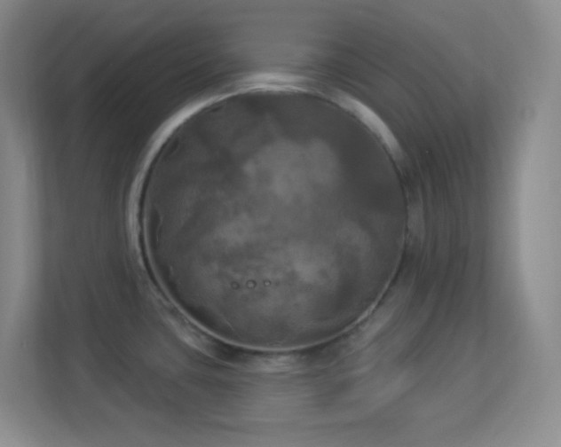 X0000113921435200909241521