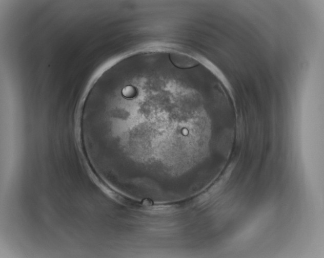 X0000113921437200909241521